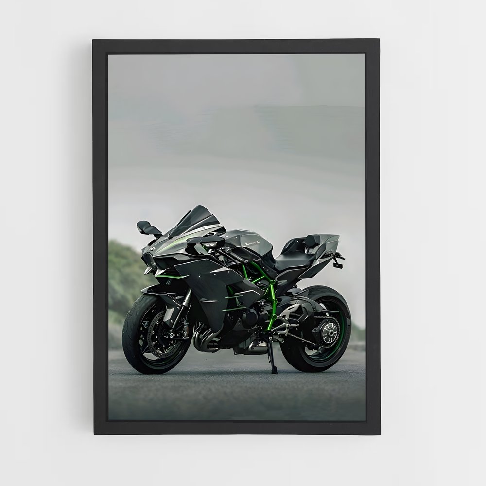 Poster Héros Ninja énigmatique (vue 2)